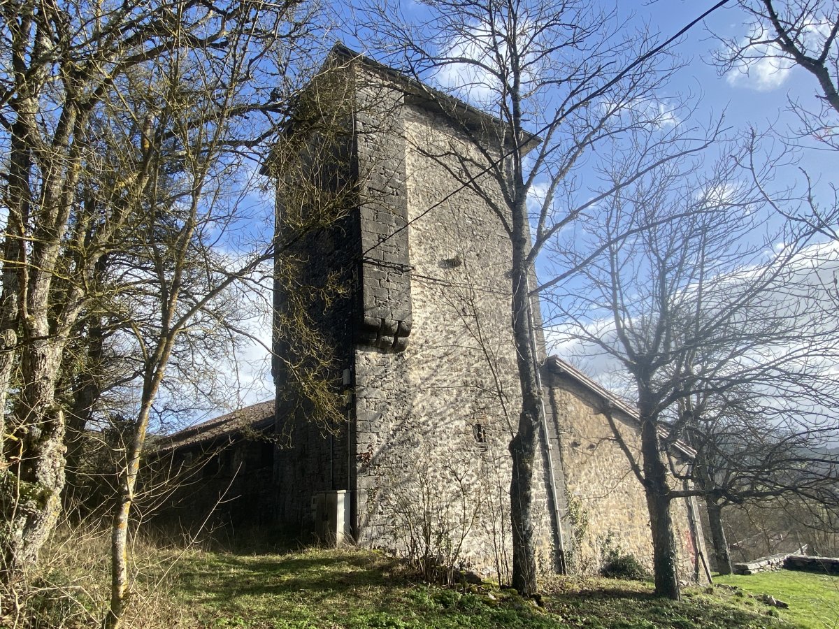 San Esteban Eliza. Kuartango (Anda)