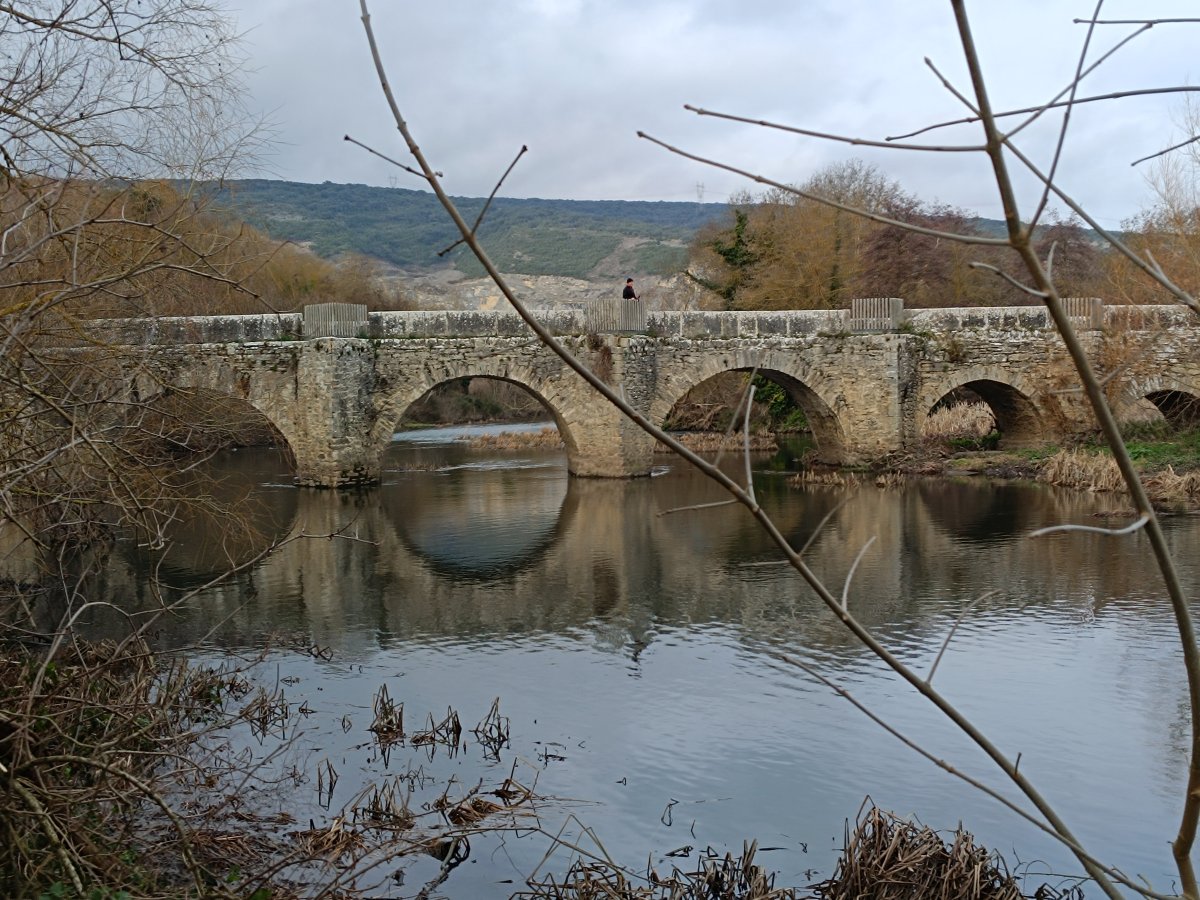 Tresponde Zubia. Iruña Oka (Tresponde)