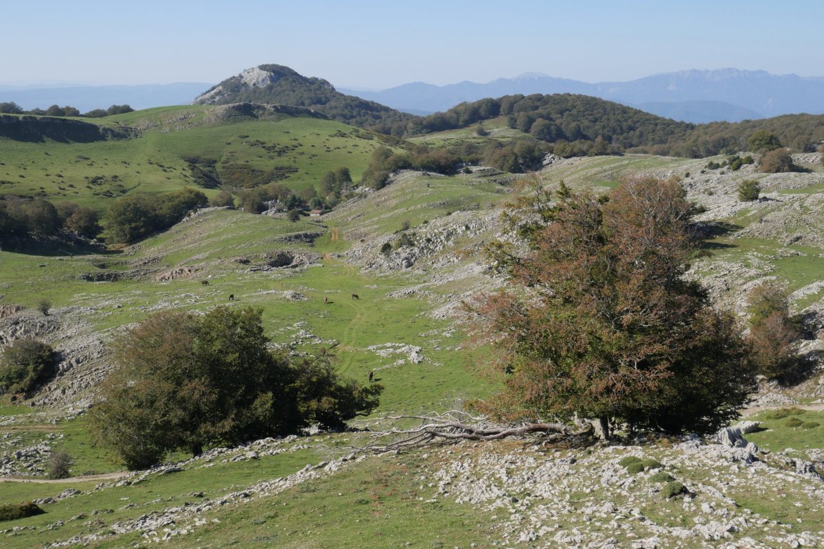 Puttarri Atxispurutik