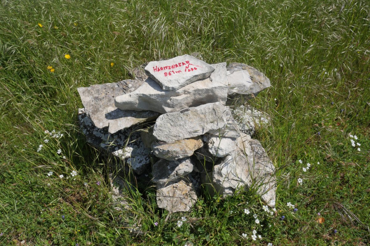 Arizbakar, Arangaitzen ekialdeko bizkarrean