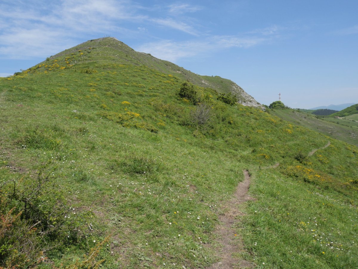 Santa Barbara hegoaldeko lepotik ikusita