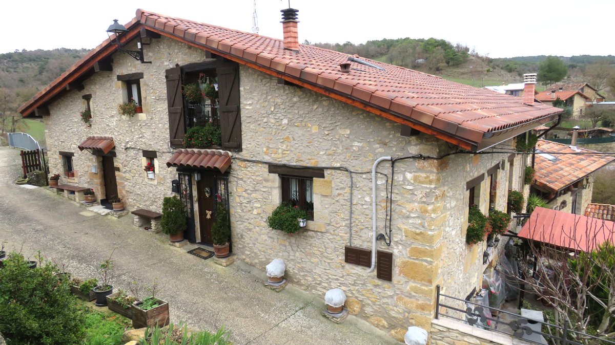 Pinedo Etxea, Mioma-Gaubea