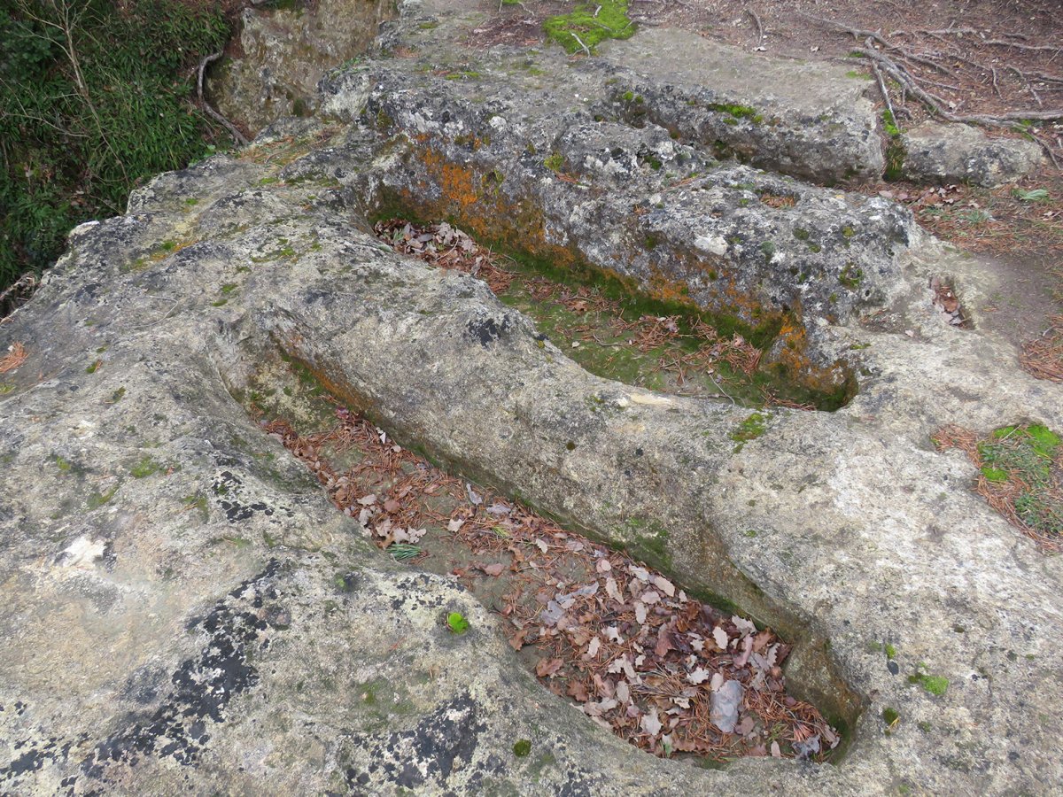 Santiago nekropolia, Pinedo-Gaubea