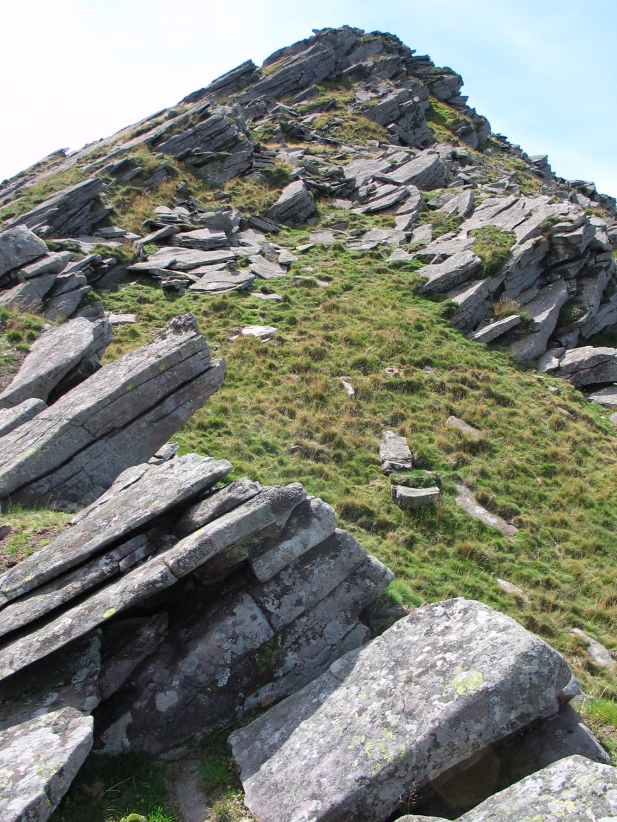 Iko gandorreko pasarte bat