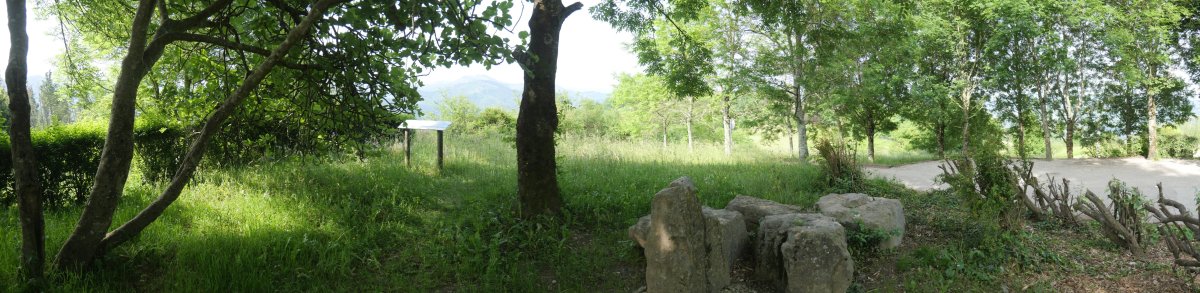 Santiomendi tontorra