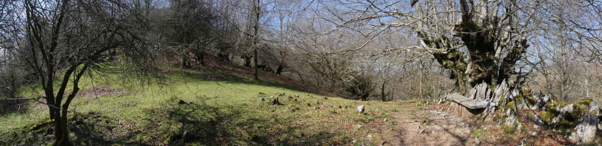 Ezurmendi, Malkorraundi