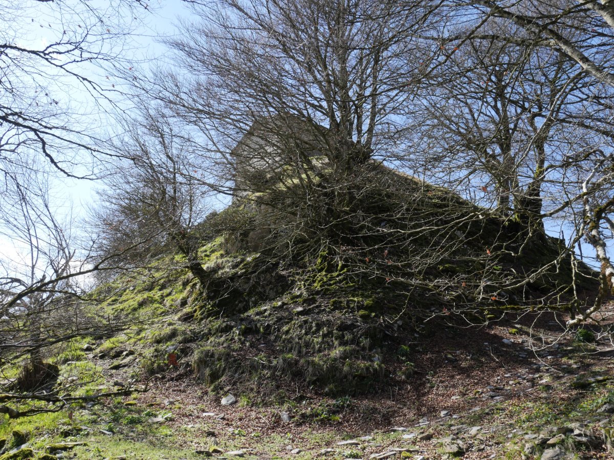 Malkorraundi tontorra