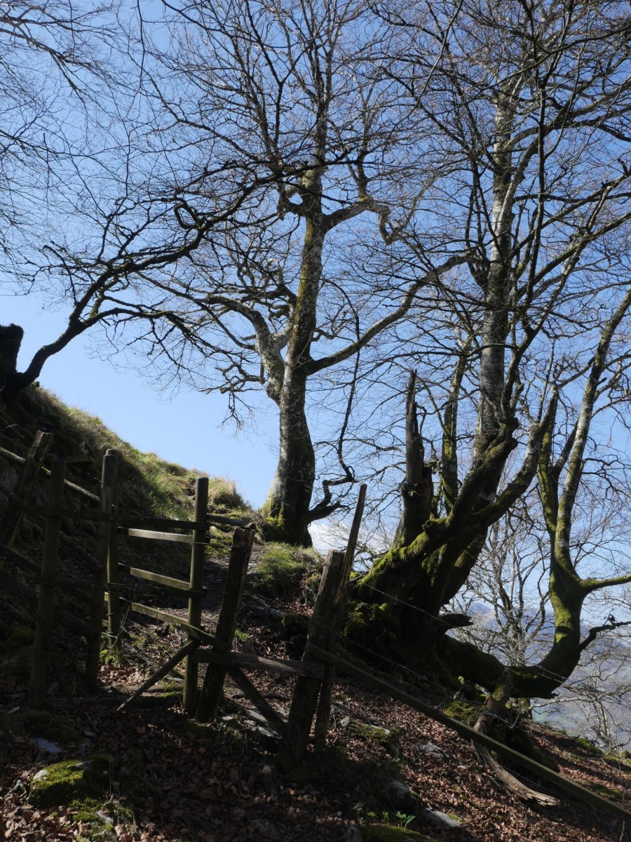 Malkorraundi, azken aldapa