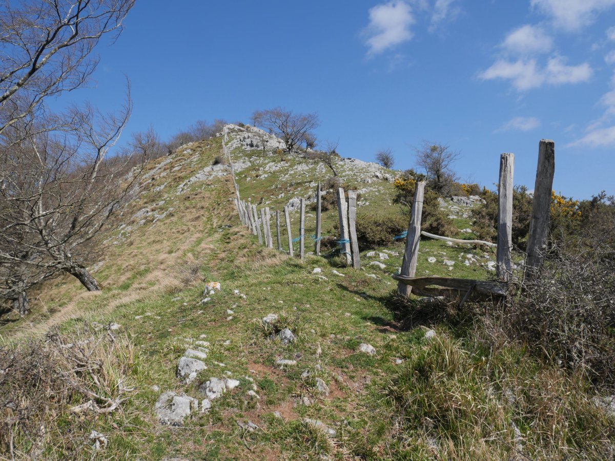 Hegoaldeko bizkarra, Malkorraundi