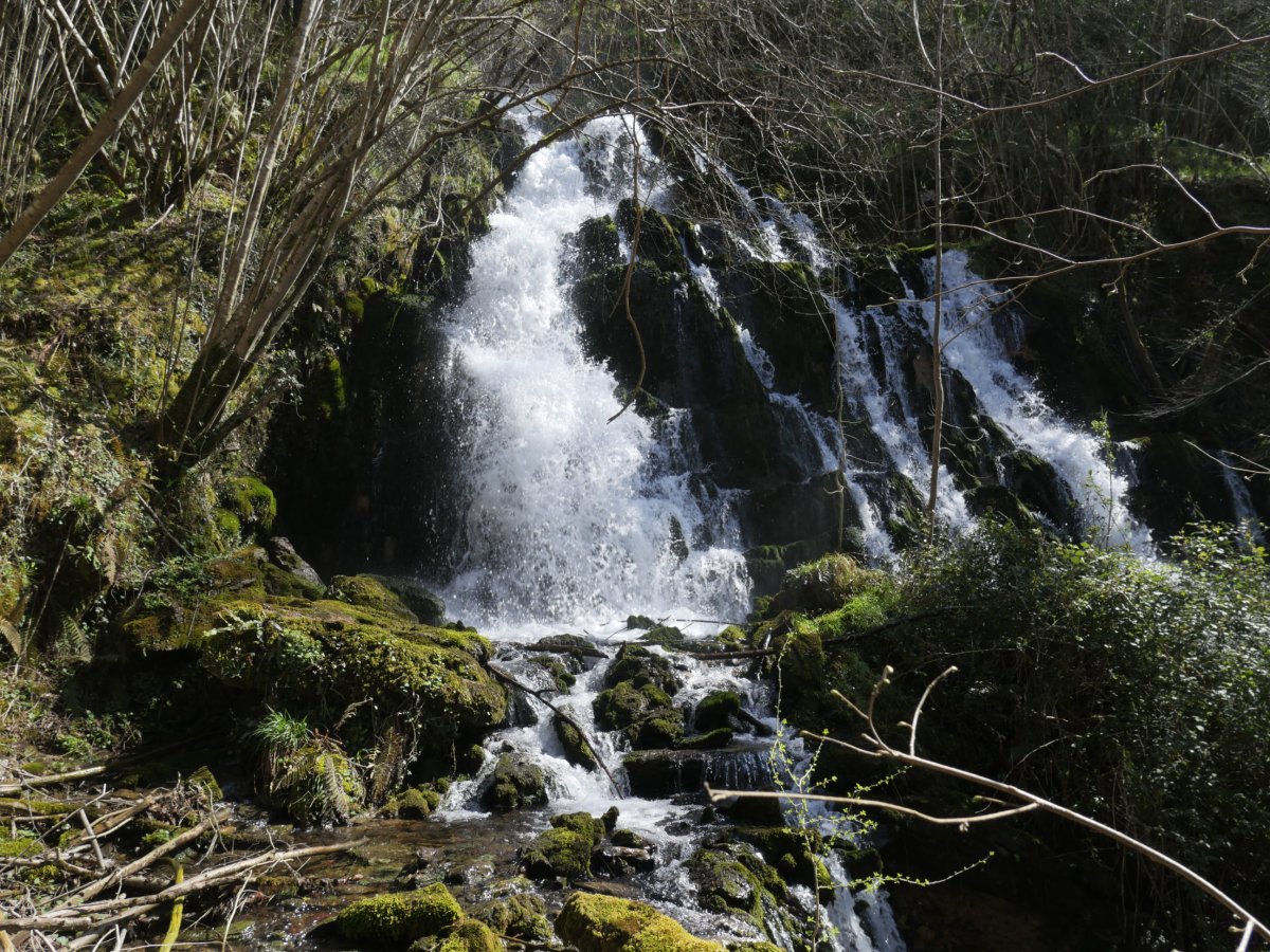 Antzubiaga ur-jauzia