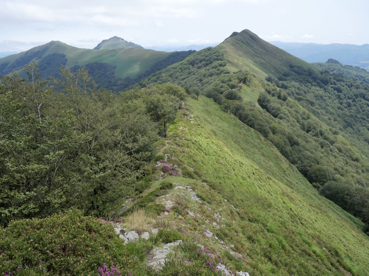 Ekaitza, IMko gandorretik