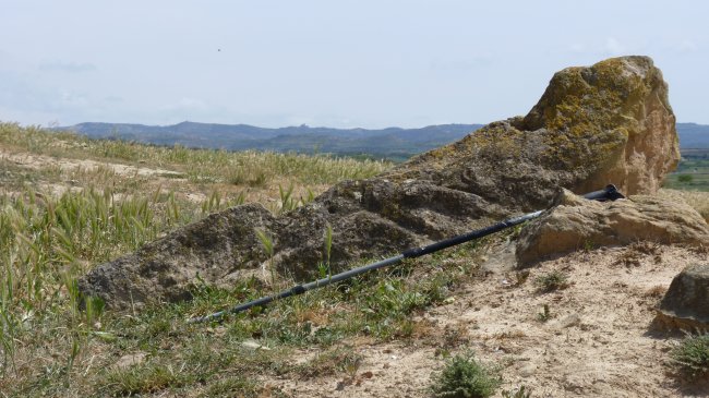CORRAL DE LA FALCONERA 2023.04