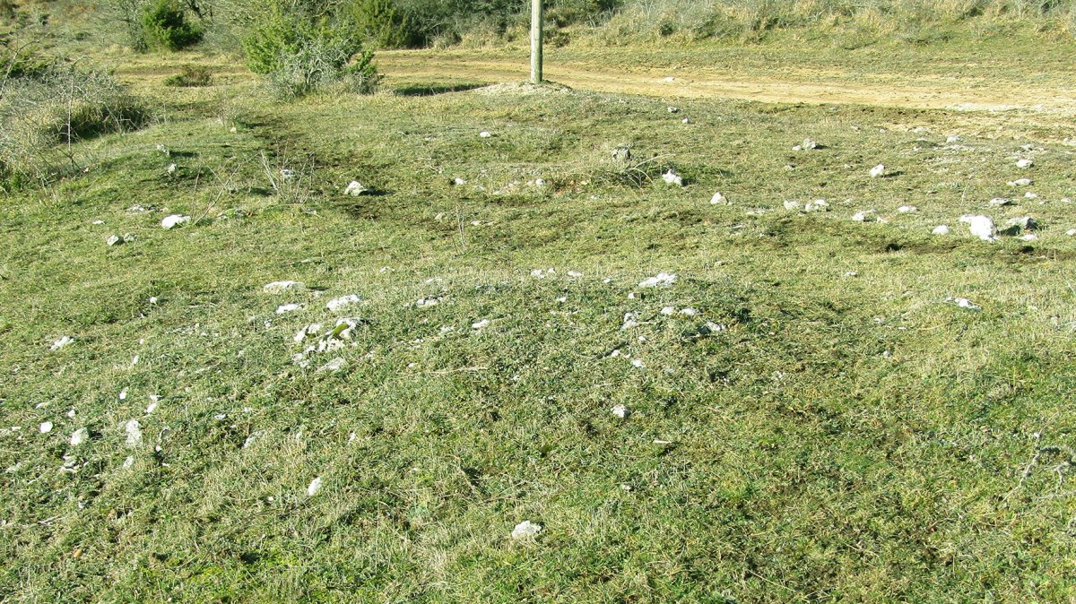 Manzuruturri 2 ekialde tumulua, Onraita Arraia-Maeztu