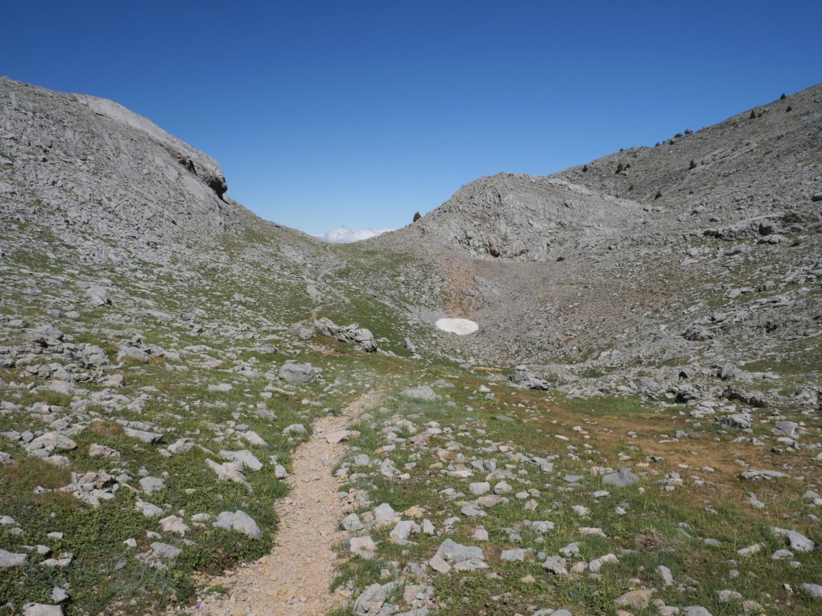 Anzotiello lepoko bidea