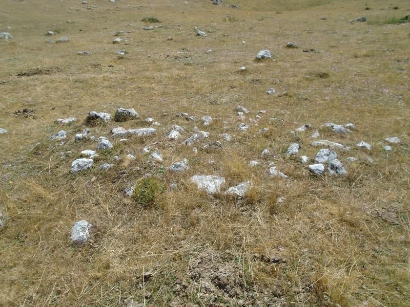 hoyo de los corderos 1
