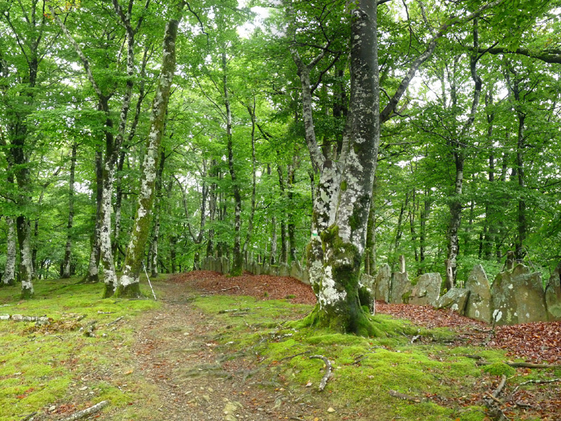 Ezkirin (Añolatz), gailurra