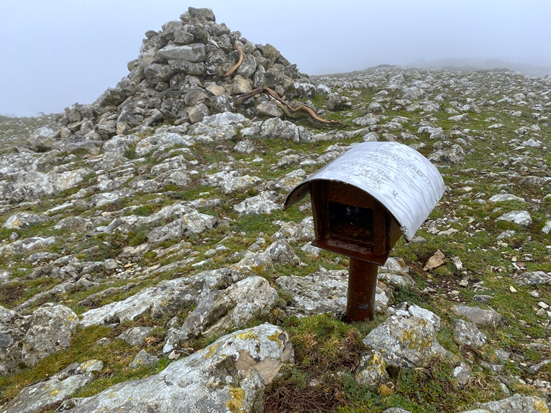 Mendebaldeko Tontorra