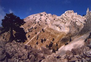 Tontorraren Hegoaldeko isurialdea