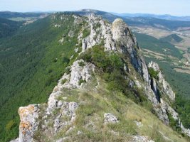 Mendebaldeko ikuspegia