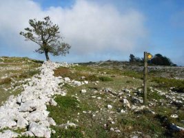 Bidearen marka gainaldean