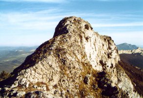 Mendebaldeko gandorraren pasarte bat