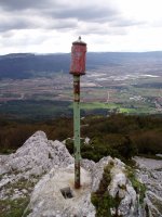 Allaitz txikiko buzoia