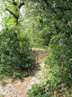 Tontorrerako azken metroak