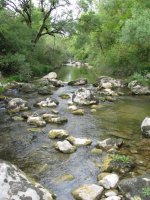 Erro ibaia, Belogainen parean