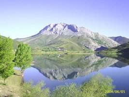 Espig?ete desde la carretera de camporredondo a cardaño de abajo
