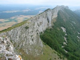 San Tirsora lotzen duen gandorra