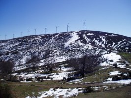 Alabitarteko lepotik ikusita