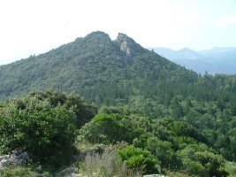 OGO?OREN TONTORRA ATALAIATIK