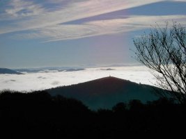 Saibi Eskubaratzetik