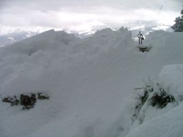 SARRIMENDIKO TONTORRA ELURREZ BETETA