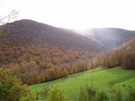 Lizarrusti ingurutik ikusita