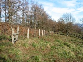 Tontorretik IEra begira