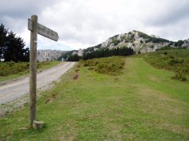 Ipiztekoarriaga lepotik igotzen den bidetik ikusita