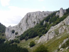 Ekialdeko isurialdea