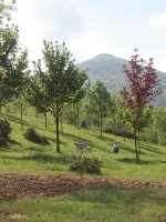 Malmasin desde Montefuerte