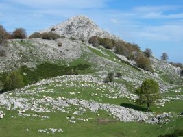 Beloki aldetik ikusita