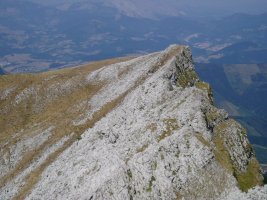 Iparmendebaldeko gandorra