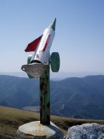 Kurtzezarreko buzoia