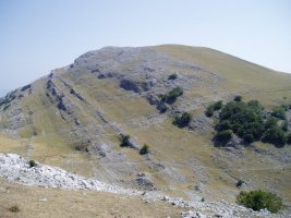 Arriurdinetik ikusita