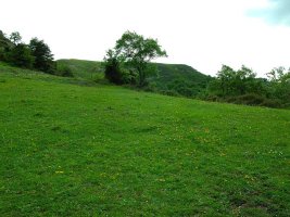 Remontamos la colina.