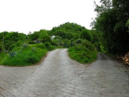 Comienzo de la pequeña excursi?n.