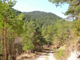 Por ultimo dejamos atr?s la cima de Costoria.