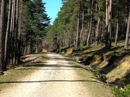 Ahora para descender tomamos la pista principal.