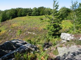 Gainaldeko ikuspegi bat