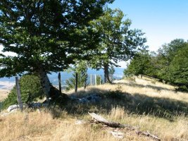 HMko bizkarreko pasarte bat