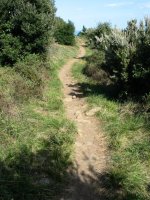 Lekeitio aldeko bidea